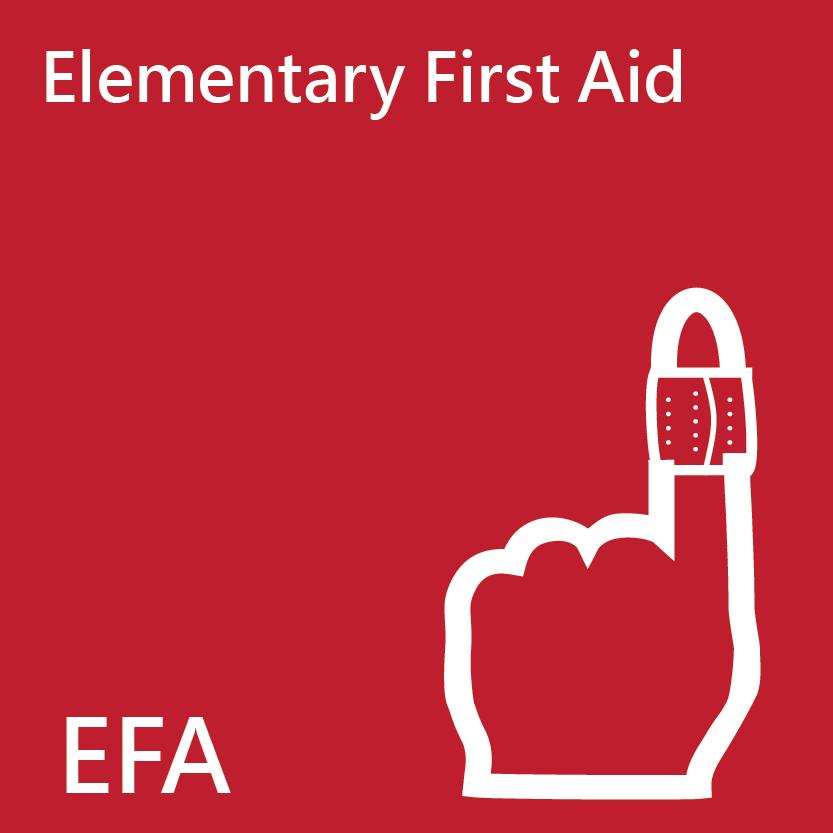 Elementary First Aid Course