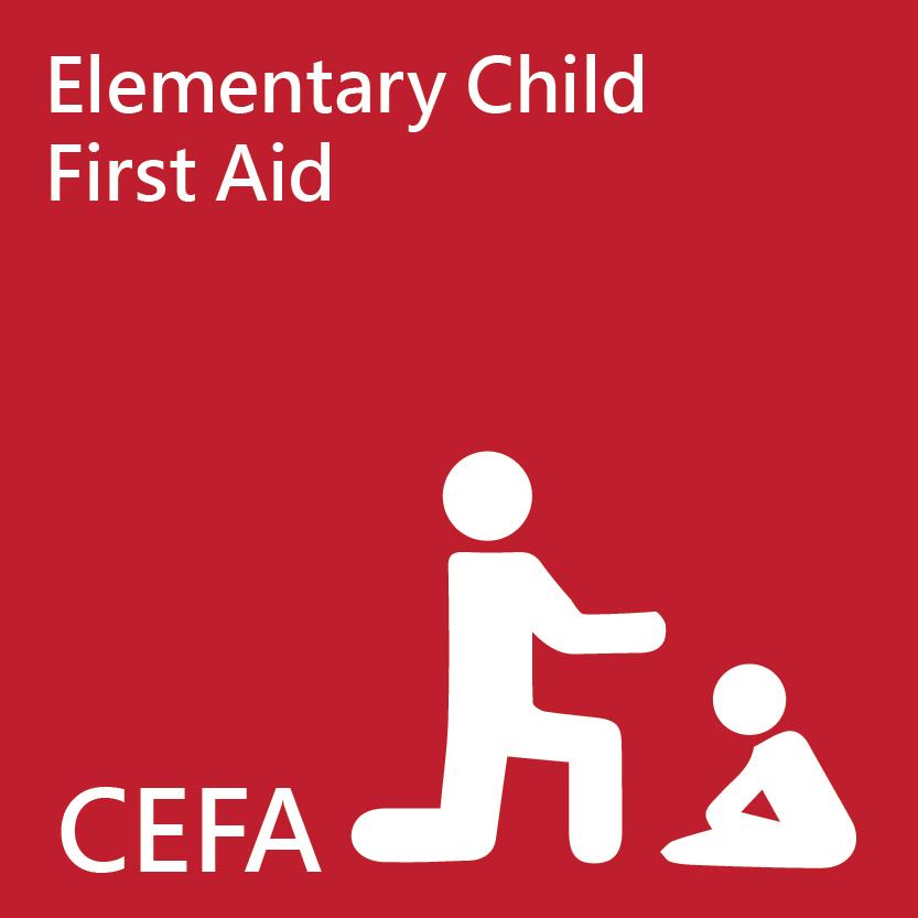 Elementary Child First Aid Course