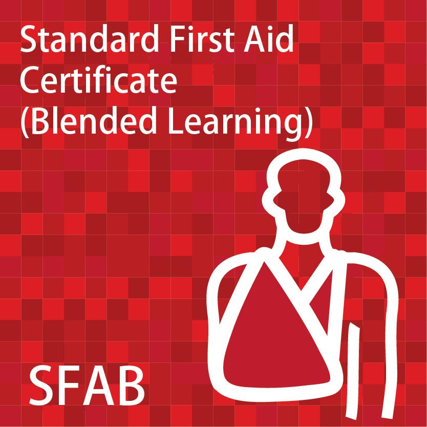 Standard First Aid Certificate Course (Blended Learning)