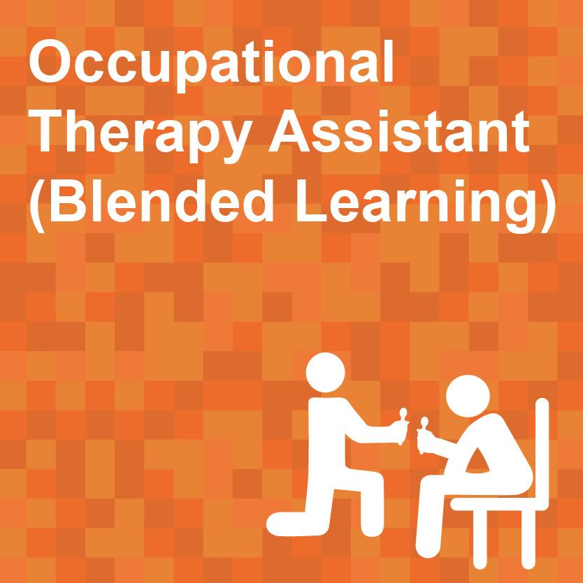 Occupational Therapy Assistant Training Course (Blended Learning) (Jockey Club Allied Health Assistants Blended Training Programme)