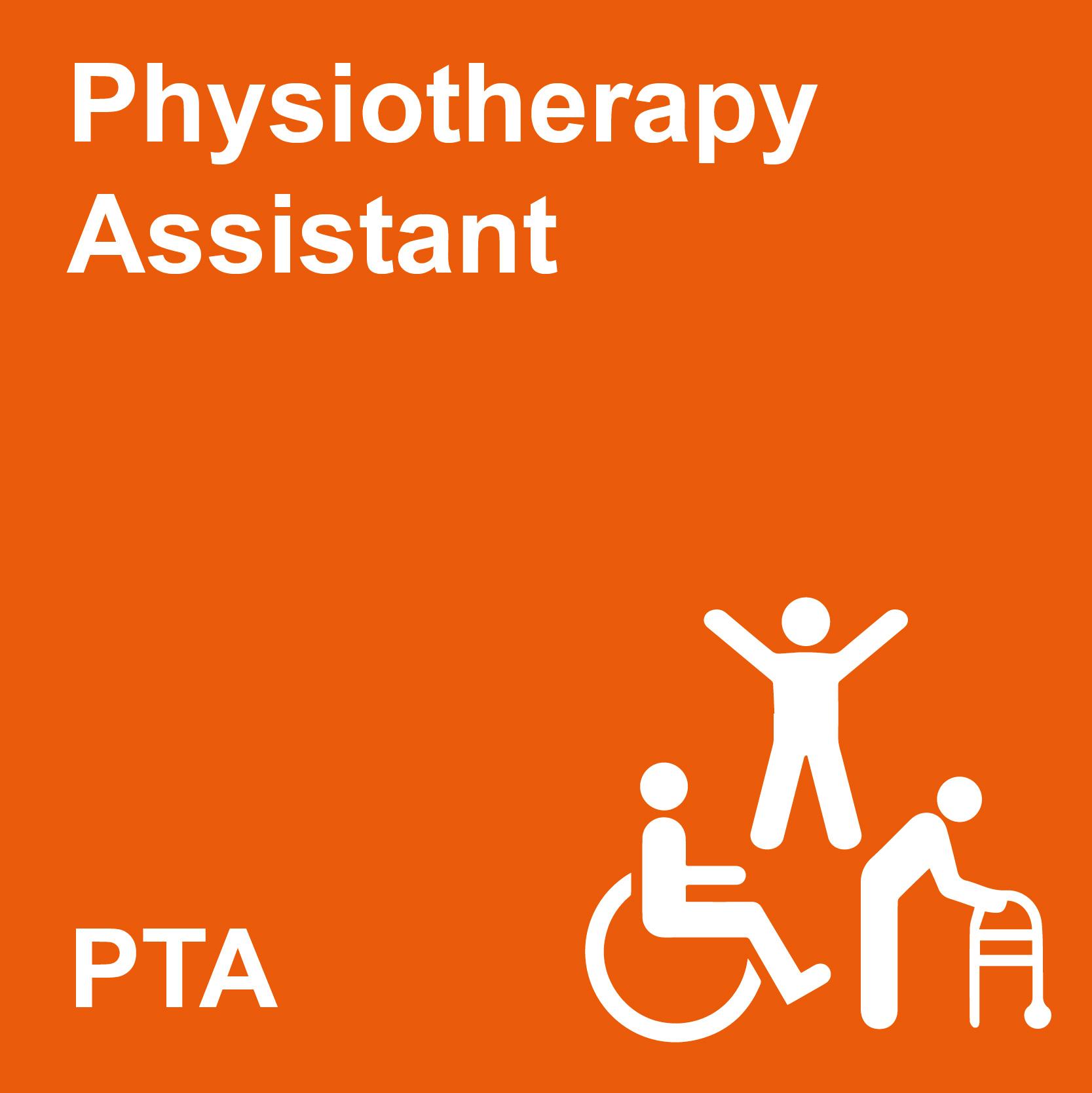 Physiotherapy Assistant Training Course 