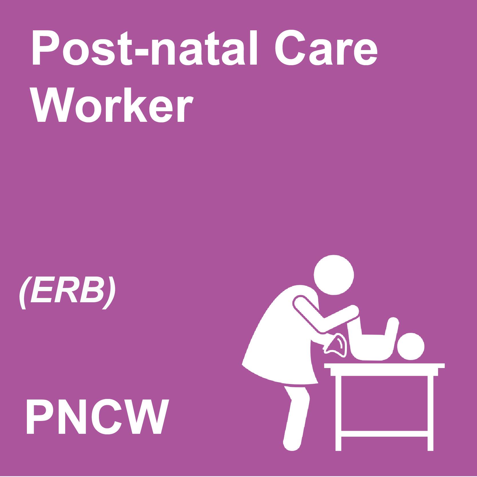 Foundation Certificate in Post-natal Care Worker Training