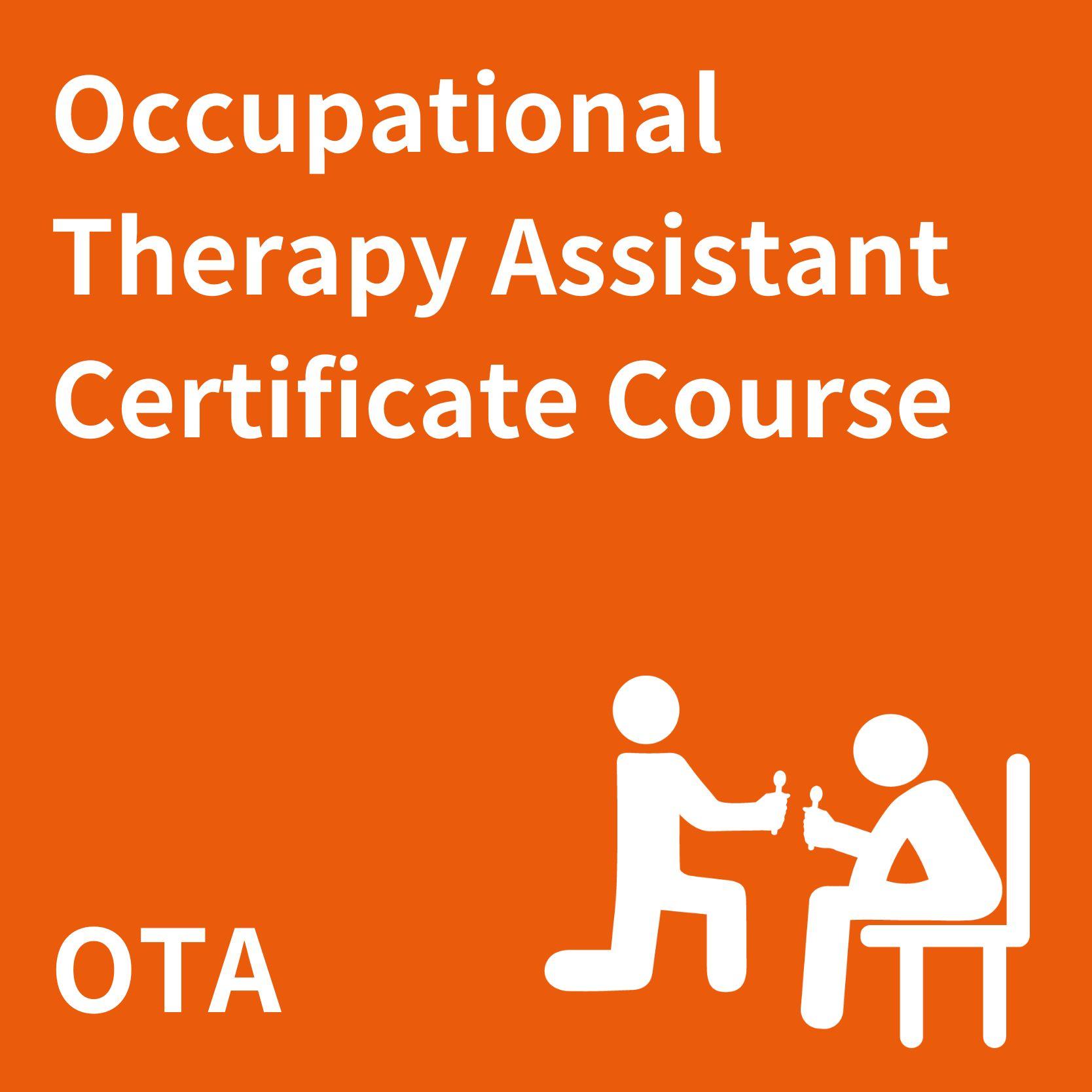 Occupational Therapy Assistant Training Course