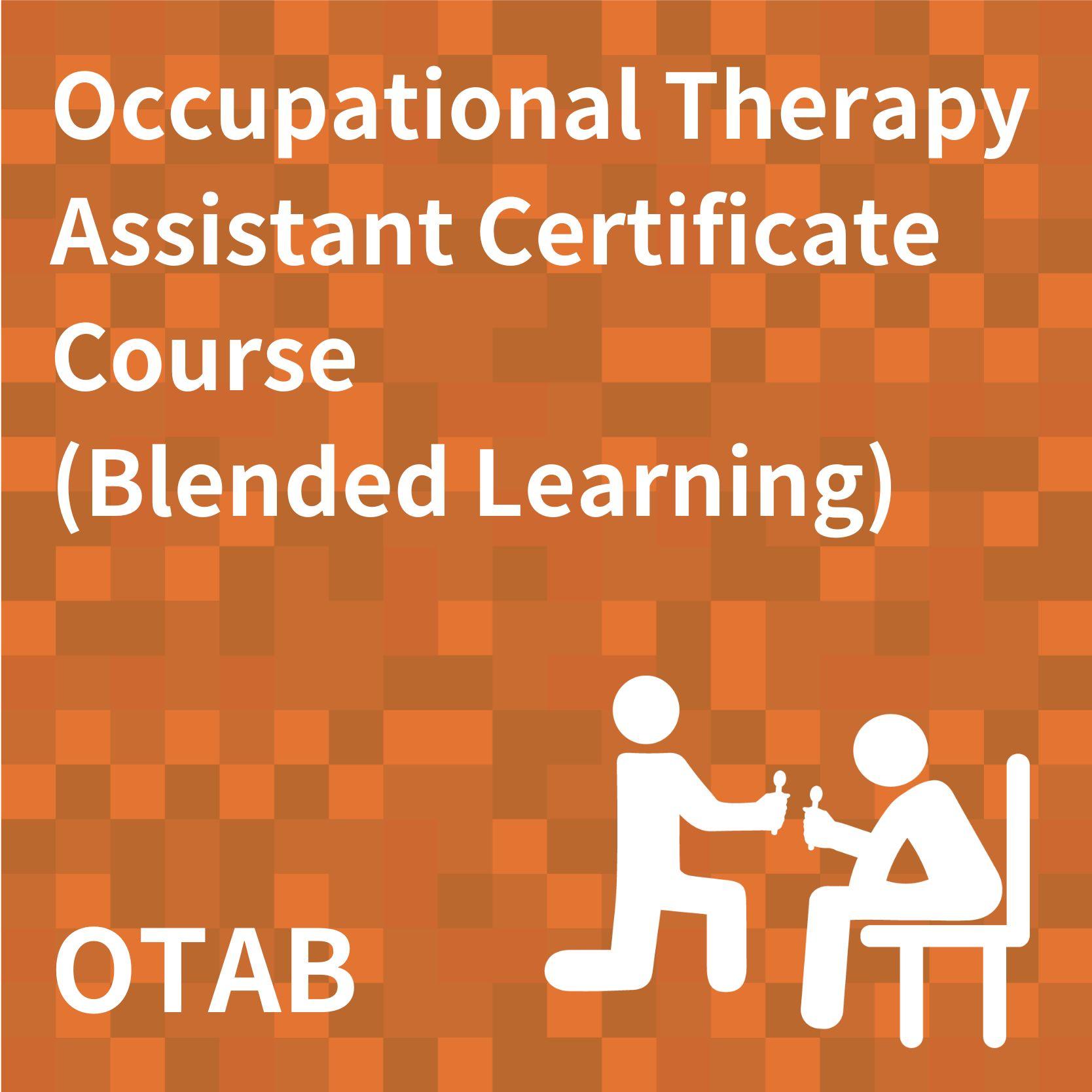 Occupational Therapy Assistant Training Course (Blended Learning)